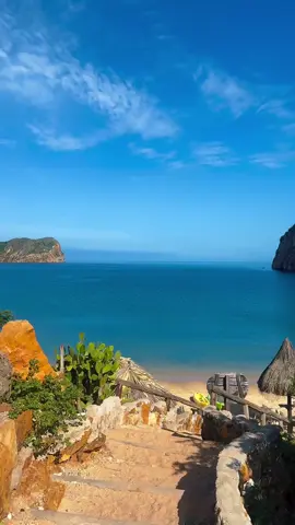 El paraíso queda en Mochima y se llama playa Manare 🌊⛱️☀️🐚🐬🇻🇪 Vente con nosotros el próximo 16 de agosto y disfruta de 2 días y una noche en esta alucinante playa, es toda una belleza que te recargará de energía; será un viaje con todas las comodidades: Transporte ejecutivo, transporte fluvial, deliciosa comida, seguridad, excursiones adicionales, guías certificados y toda la atención de nuestro equipo para que vivas una experiencia al estilo Buena Vibra 💯😮‍💨😎 Ponte las pilas y reserva tu cupo, es un viaje modalidad todo incluido, tendremos la playa solo para nosotros así que aprovecha y disfruta de tus vacaciones ✅ ✍🏻 Escríbenos y te enviamos los detalles de nuestro viaje 👇🏻👇🏻👇🏻👇🏻👇🏻👇🏻 📲 0426 1172644 📲 0426 1172644 📲 0426 1172644 Únete al equipo más Buena Vibra y disfruta de un viaje alucinante, un viaje para el alma 🍀 #PlayaManare #Mochima #MochimaPlayaManare #LIVEIncentiveProgram #MyLIVEJourney #PaidPartnership 