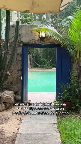 Vamos a decir que eso fue grabado en medio de la naturaleza y no en un hotel 😬 #creatorsearchinsights #viaje #travel #nature #naturaleza #traveltok #yucatan 