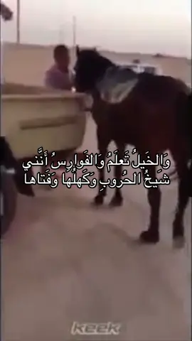 #شعروقصايد  #fyp  #ثلاب 
