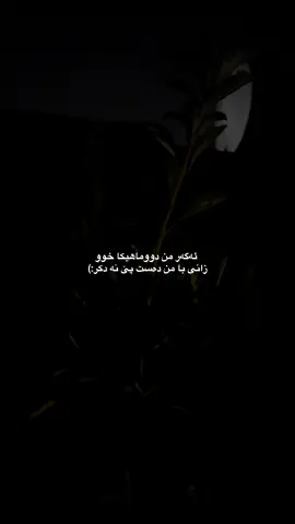 agar mn dumahika xo zani ba mn dast pe na dkr:) #fyp #foryou #foryoupage #explore #viral 