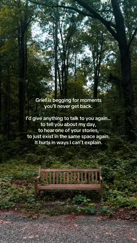I would do anything just to sit with you again. Just for a minute. Just to talk. Just to hear your voice. . #grief #grieving #griefjourney #loss #griefsupport #healing #missyou #unspokenpress #MentalHealth #griefquotes