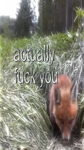 cuz who does that #thoughts #fyp #cats #catcore #real #swag #relatable 