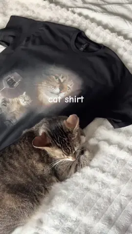 cat shirt #catshirt #funny #tshirt and yes it’s made out of cotton