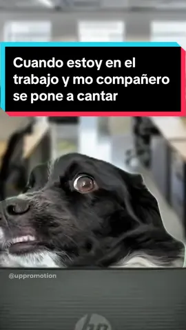 😂😂😂 #humor #trabajo #oficina #humoreneltrabajo #funnyvideos #parati  