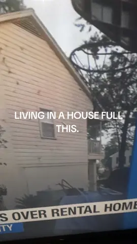 Somebody rented a house full of this.