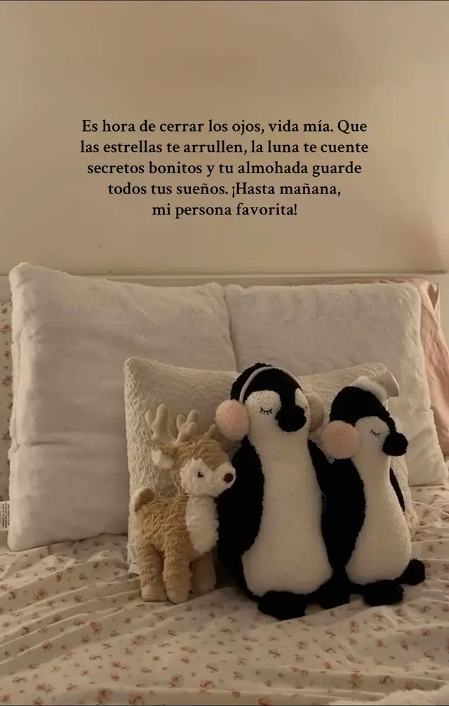 #fyp #paratiiiiiiiiiiiiiiiiiiiiiiiiiiiiiii #frasesparadedicar #buenasnoches #populartiktok te amo | frases para mi amor | frases para mi novia | buenas noches mi amor | frases de buenas noches | descansa mi amor