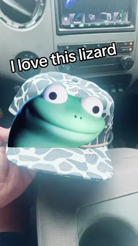#Meme #MemeCut #lizard 