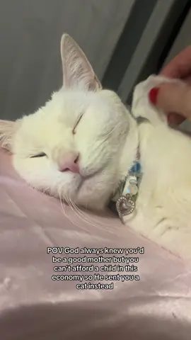 She truely is the best of me🥺🐱💞 #catsoftiktok #catlover #cattok #fyp 