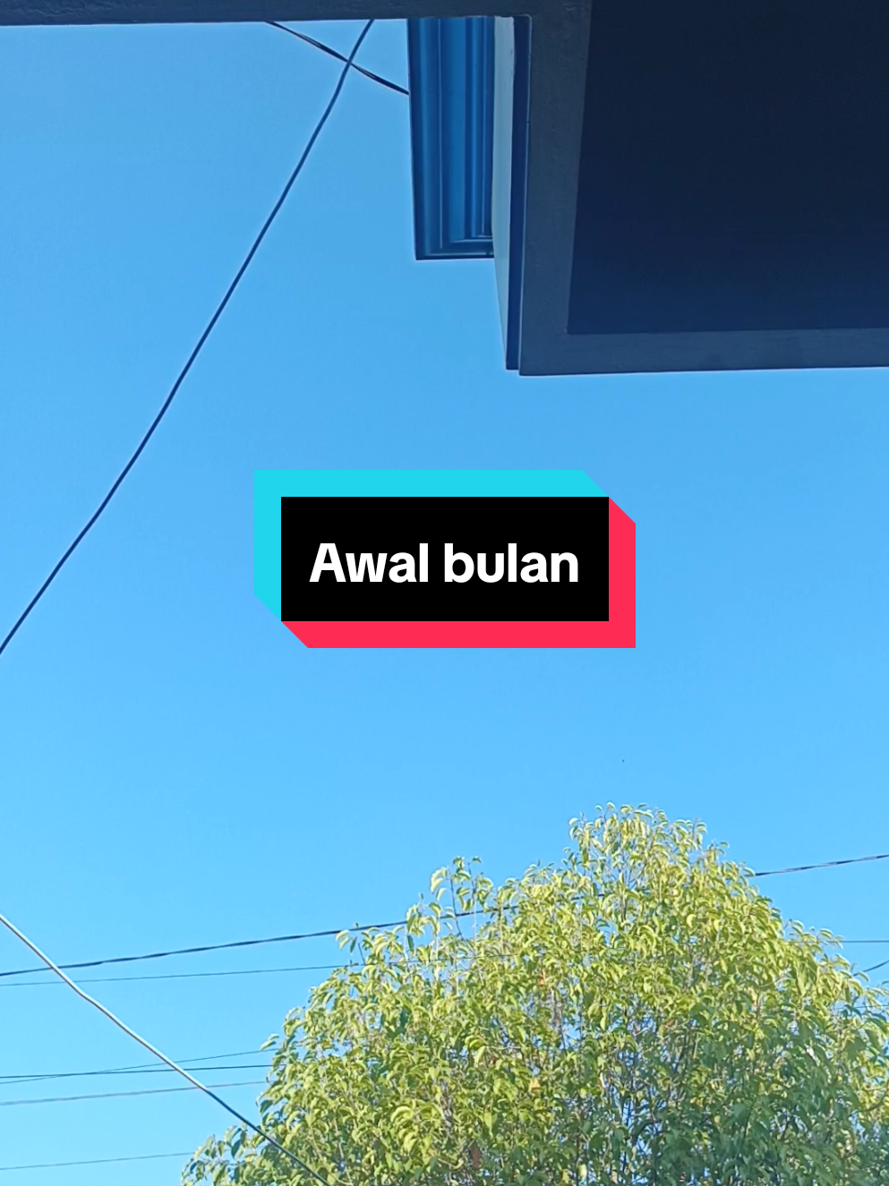 monggo 2 orang  #fy #xyzbca #plecithitz #koperasimingguan #koperasi 
