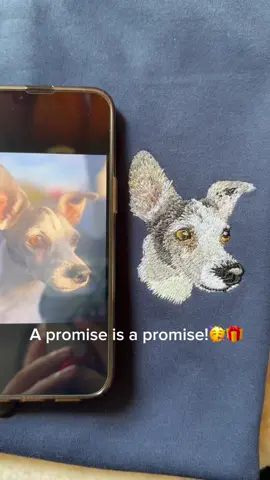 Sooo…should I do this again?👀 Just drop the most recent pic of your furry or feathery baby! #embroiderybusiness #petembroidery #customportrait #embroideryart #petmom #tiktokpets 