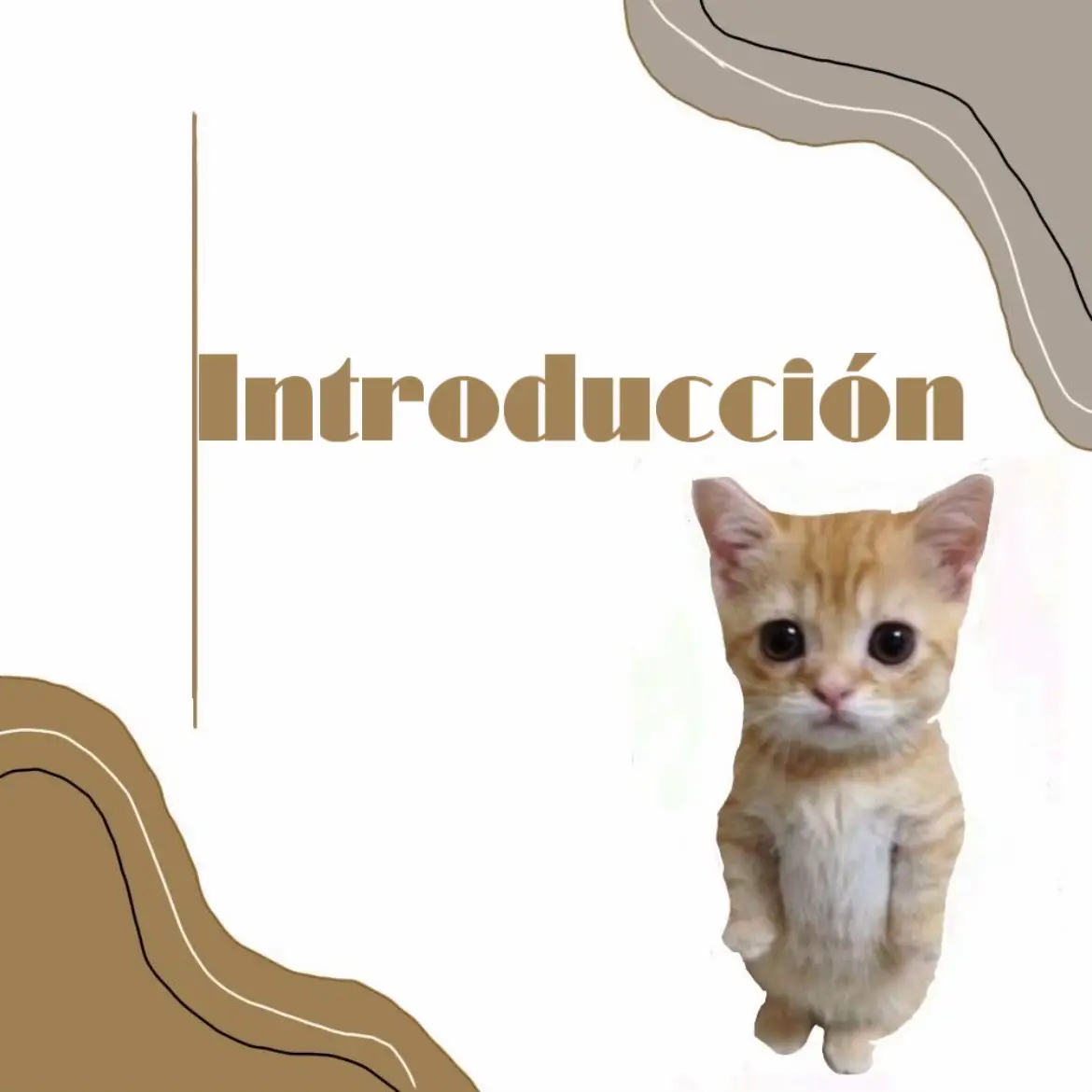 .                                                                                          .                                                                                          .                                                                                          .                                                                                          .                                                                                          .                                                                                          .                                                                                          .                                                                                          .                                                                                          #introduction #introduccion #gustos #sobremi #fyp #xybca #xyzbcafypシ #buscoamigos #paraamigar #socializar #tiktokponmeenparatii 