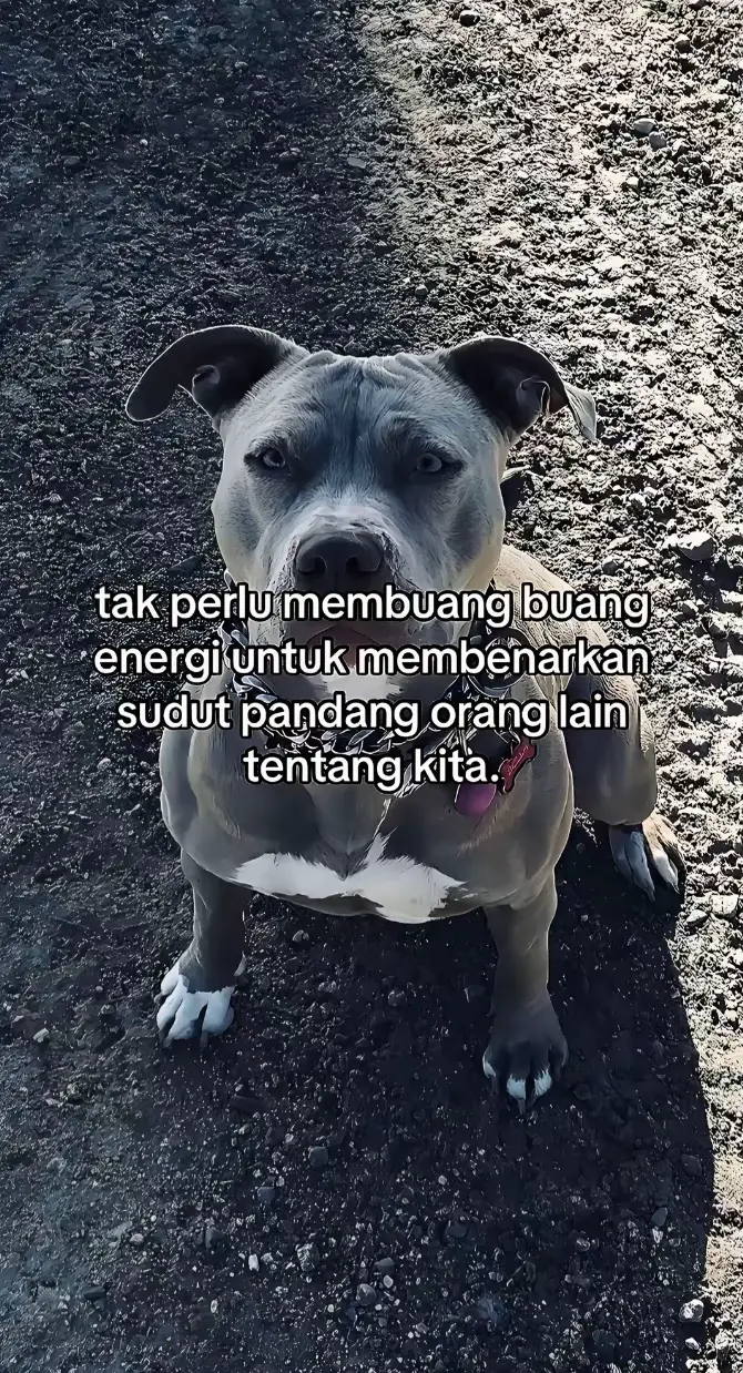 🤣