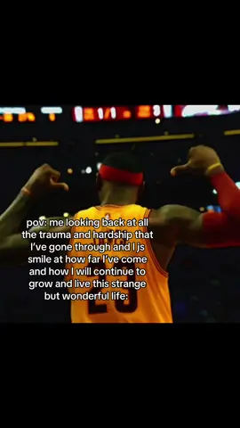 Have no fear #pov #real #lebron #NBA #fyp 