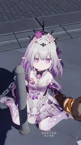 So cute😍#castorice #HonkaiStarRail #starrail #xuhuong #viral #hoyocreators #tiktokgiaitri 