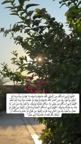 #استغفرالله_العظيم_واتوب_اليه #سبحان_الله_وبحمده_سبحان_الله_العظيم #دعاء_يريح_القلوب #دعاء #استغفار_تسبيح #لاحول_ولا_قوة_الا_بالله #اللهم_اني_أسألك_الجنةوأعوذ_بك_من_النار #ربي_اشرح_لي_صدرى_ويسر_لي_أمري  #ربنا_اتنا_في_الدنيا_حسنه_وفي_الأخرة  