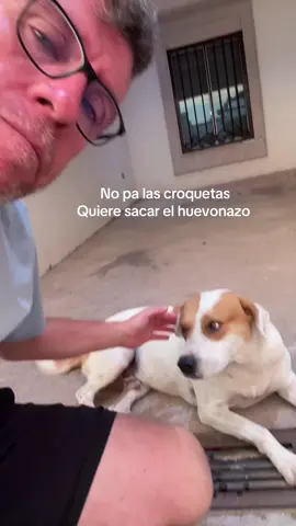 Huevonazo 
