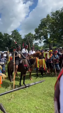 Pasola adalah ritual adat tahunan yang diadakan di Sumba, Nusa Tenggara Timur, melibatkan dua kelompok pria berkuda yang saling melempar tombak kayu (sola atau hola). Ritual ini merupakan bagian dari upacara adat Marapu dan berkaitan erat dengan musim panen padi serta kepercayaan masyarakat Sumba.  Rangkaian Ritual Pasola: 1. Nale (Pencarian Cacing Laut): Sebelum Pasola, diadakan upacara Nale, yaitu pencarian cacing laut (nyale) yang dianggap sebagai pertanda dimulainya Pasola.  2. Penentuan Waktu: Waktu pelaksanaan Pasola ditentukan oleh para rato (pemimpin adat) berdasarkan perhitungan kalender tradisional dan tanda-tanda alam.  3. Pasola: Dua kelompok pria Sumba yang berkuda saling berhadapan, kejar-mengejar, dan melempar tombak kayu ke arah lawan. Darah yang tumpah dipercaya membawa berkah bagi kesuburan tanah.  4. Pasca Pasola: Setelah Pasola, biasanya ada upacara adat lain dan perayaan yang melibatkan makanan khas Sumba, seperti ketupat, jagung katemak, dan ubi ungu.  Makna Pasola: Ungkapan Syukur: Pasola merupakan ungkapan syukur atas hasil panen dan permohonan keberkahan untuk musim tanam berikutnya.  Ujian Keberanian: Permainan ini menguji keberanian dan sportivitas para peserta.  Simbol Kekuatan: Darah yang tumpah dalam Pasola dipercaya memiliki kekuatan magis untuk kesuburan tanah.  Pemersatu: Pasola juga menjadi ajang pemersatu antar kelompok masyarakat Sumba.  Pentingnya Pasola: Warisan Budaya: Pasola adalah warisan budaya yang sangat penting bagi masyarakat Sumba.  Daya Tarik Wisata: Pasola menjadi daya tarik wisata yang menarik wisatawan domestik maupun mancanegara.  Pelestarian: Pelaksanaan Pasola juga menjadi upaya pelestarian budaya dan tradisi Sumba. 