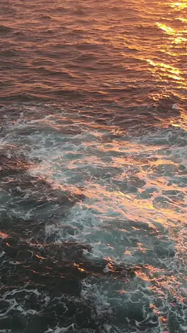 #🌊 