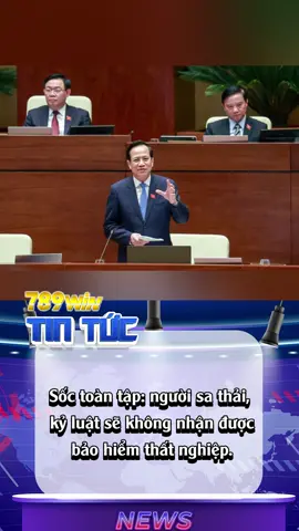Số toàn tập: Người sa thải, kỷ luật sẽ không nhận được bảo hiểm thất nghiệp.#tiktoknews #xhtiktok #daongocdung #baohiemthatnghiep #vietnam #vietnamtoiyeu #tintuc #tintuc24h #fyp #viral