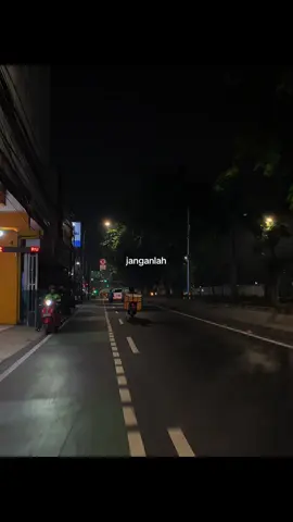 janganlah engkau pernah pergi.