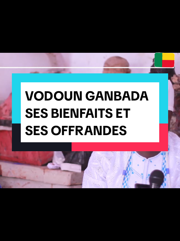 Les Bienfaits et les offrandes du vodoun GANBADA  #france🇫🇷 #afriquetiktok #FYP #viral_video 
