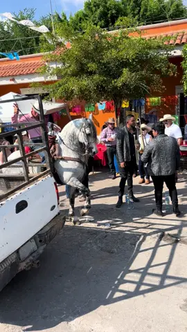 #vaqueros🤠#caballosbailadores 🐴