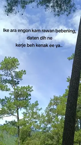 #fy #fypシ゚viral #fypage #lagugayo #katakatagayo #masukberandafyp 