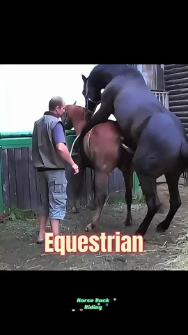 Summer Life of a Classical Equestrian Trainer: Hard Work Meets High Performance #EquestrianSummer #TrainerLife #HorsebackRoutine #RideInStyle #SweatProofStyle #EquestrianFashion #StableDays #QuickDryGear #HorseTrainerDiaries #SummerInTheSaddle