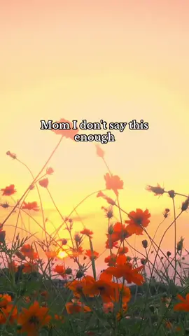Follow me and share this with your mom or any mom you love!  #motherhood #MomsofTikTok #mommotivation #lovemom 