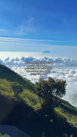 Nikmat alam tidak pernah mengecewakan. #Hiking #hikingtiktok #hikingadventures #alam #merbabu #fyp #foryou #rindu 