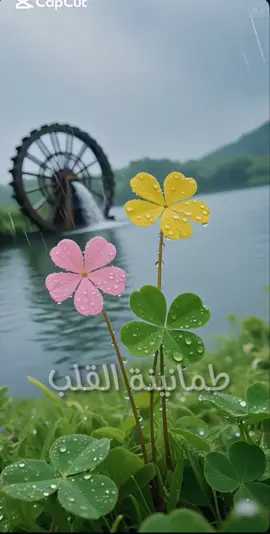 اللهم صباحا