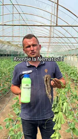 Atenție ⚠️ la Nematozi !  Nemagold  #nematozi #Nemagold #atlanticaagricola @Holland Farming Agro 