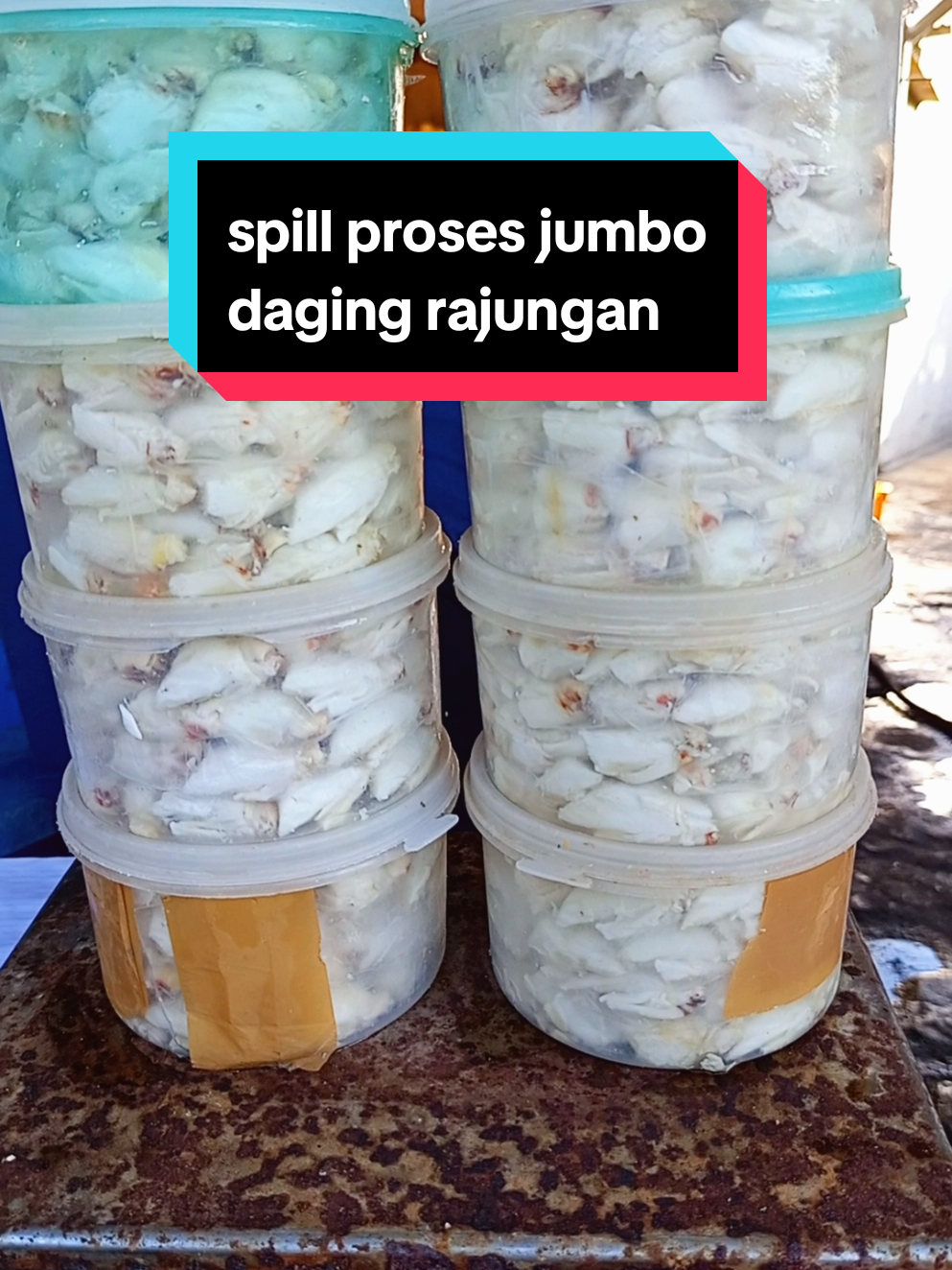 semangat.. semangat.. semangat.. 🤭🤭 #fyp #rajungan 