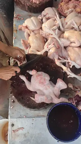 potong ayam 16 bagian  #broilerchicken #ayampotong #broiler #potongayam #ayamgeprek 