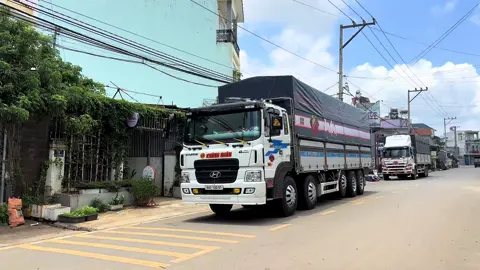 Giao lưu em gái hàn 360 miền Tây …😜😜,thank e trai ngược hướng vẫn lên 49 ủng hộ bộ áo mới ,chúc e vạn dặm bình an..😍😍@Huỳnh Hữu Thành @quynhnhu17072013 @Gả may bạt @Nguyen Nhat Le Nha🫥 @Phúc Gucci ✈️ 🫧 @Bin Nguyễn💰 @Khoa Decal 49 #xedovietnam #xetaidep #muibatnamthanh #xetai #xetaitiktok🚛 