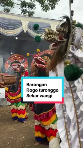 Barongan rogo turonggo sekar wangi #barongan #rogoturonggosekarwangi 