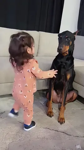 Sweet friendship❤️#tiktok #Love #Foryou #lovestory #fyp #puppy #dog #dogsoftiktok #petlover #baby 
