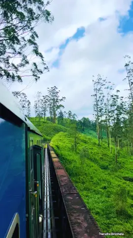 කොච්චර ගියත් එපාවෙන්නෙ නැති ගමන🌿❤️🚄 #foryou #myvideo #badullatrain #kotagala #nature #rainyday #srilanka #onemillionaudition #mist #tharusha_td 