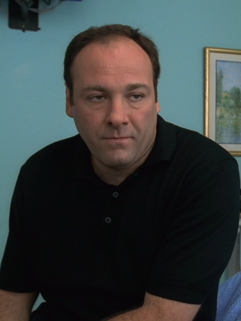 This is just real. #tonysoprano #soprano #edit  #pain  #mood  #MentalHealth  #sad #real 