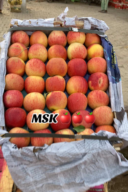 Zahirpir Fruit Mandi #fruitmandizpr #zahirpirsabzimandi @New Modal Sabzi Mandi Zahirpir 