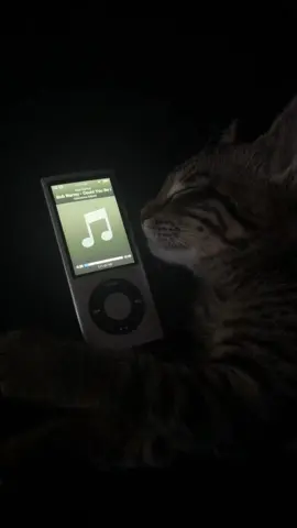 Could you be loved.. #couldyoubeloved #bobmarley #bobmarleyandthewailers #sleepycat #kitten #tabbycat #ipod #ipodmusic #ipodnostalgia #nostalgia 