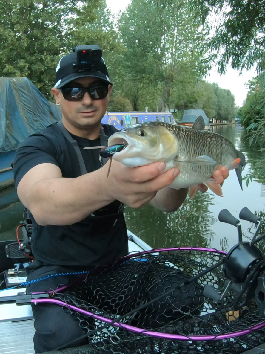 Jackall SUISEN 💪 #fishunguk #lure #lurefishing #topwaterfishing 