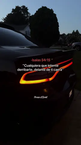 #viral #tiktok #videoviral 