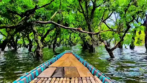 যদি দেখার ইচ্ছা হয় তোমার নিঠুর মনে লয় ওয়াচ-টাওয়ার আইসো তুমি দুপুরের সময়...❤️ #tanguarhaor #cyrathehouseboat #viralvideo #premiumhouseboat #viraltiktok #foryou 