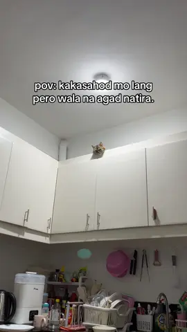 #fyp #cat 