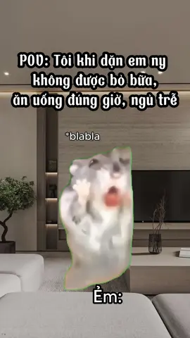 Ẻm không nghe lời #cat #catmeme #memes #funnycats #hàihước 