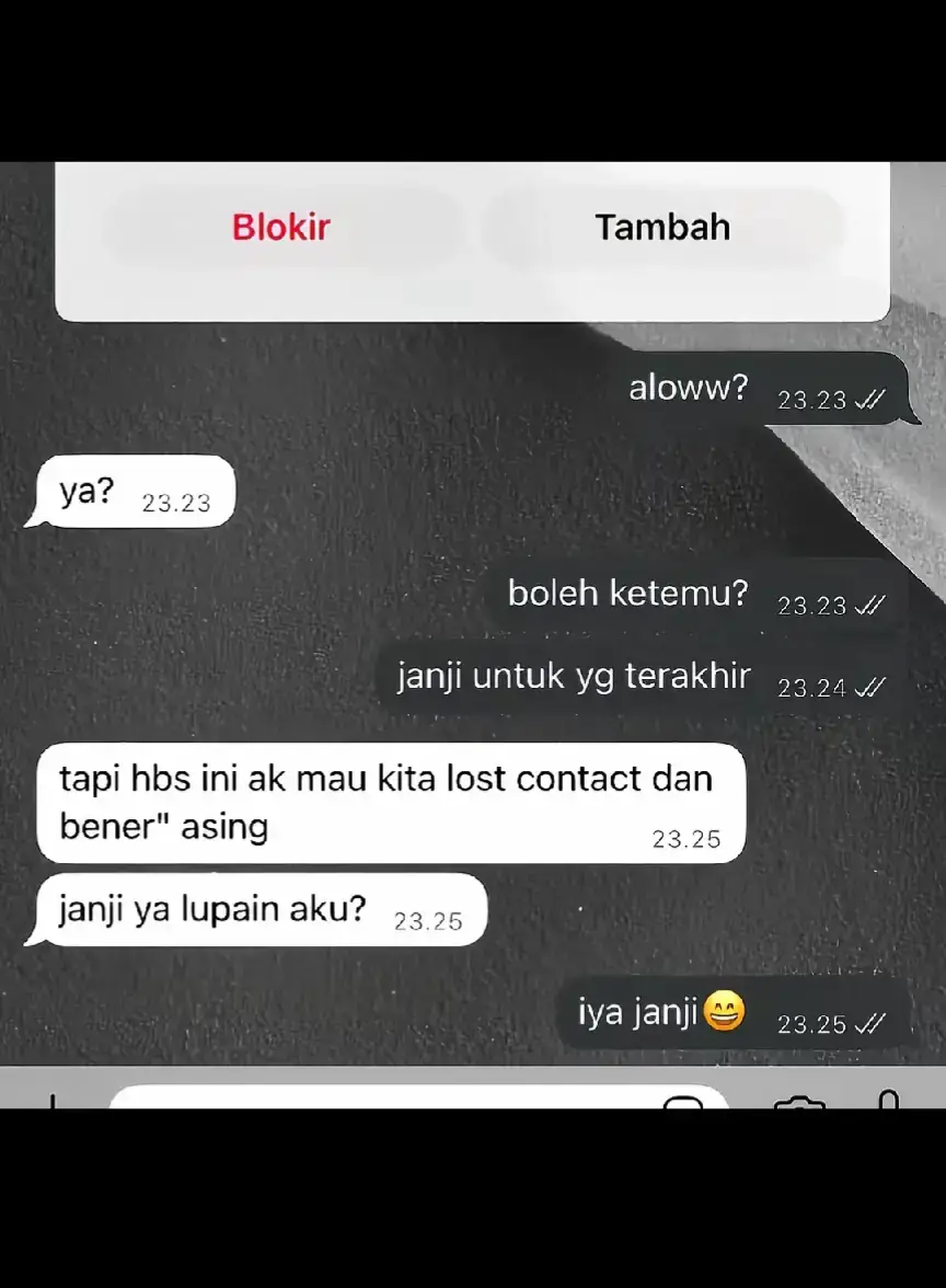 dihari terakhir kita bertemu aku berusaha menatapmu dengan benar, mataku sibuk merekam wajah mu, telinga ku sibuk mendengar suara mu, agar suatu saat ketika aku merindukanmu, memori ku masih memiliki sedikit ingatan ingatan tentang wajah dan suara yg kulihat dan ku dengar untuk yg terakhir kali nya hari itu, aku belum benar-benar bisa melepaskanmu, lelah rasanya aku dipaksa untuk berpura pura mengikhlaskan mu, terimakasih telah hadir, walau hanya sebentar... setidaknya aku dan kamu pernah ada menjadi (kita). I will never stop loving you