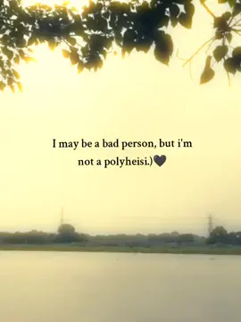 I may be a bad person, but i'm not a polyheisi.)🥰❤️‍🩹#foryou #foru #viral #tiktok #unfreegemyaccount 