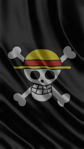 #strawhat #strawhatpirates #onepiece #manga #flag #motiondesign #luffy 