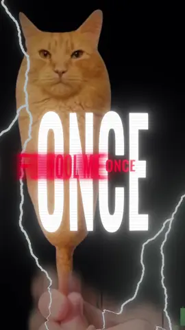 #CapCut #corndogcat #cat #brainrot 
